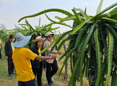 วันที่ 5 กุมภาพันธ์ 2567 ... พารามิเตอร์รูปภาพ 5